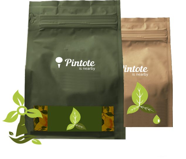 Pintote bag